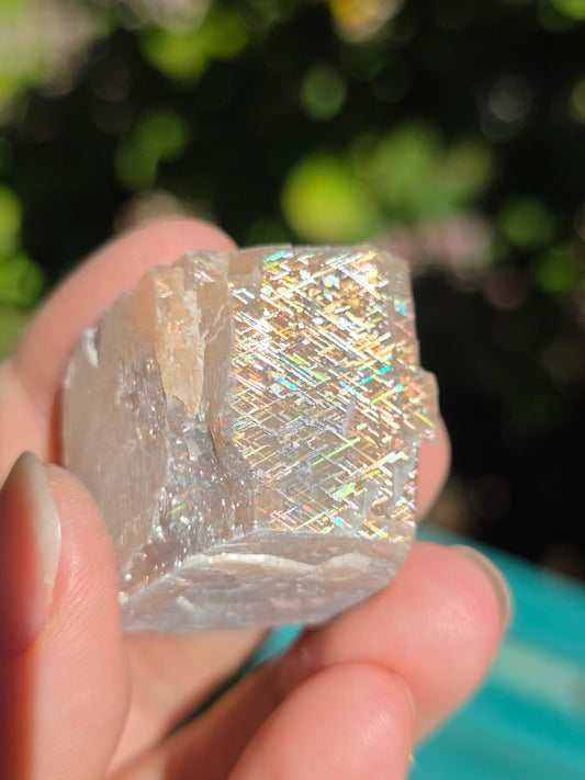 Pierre de soleil Rainbow Lattice n°6