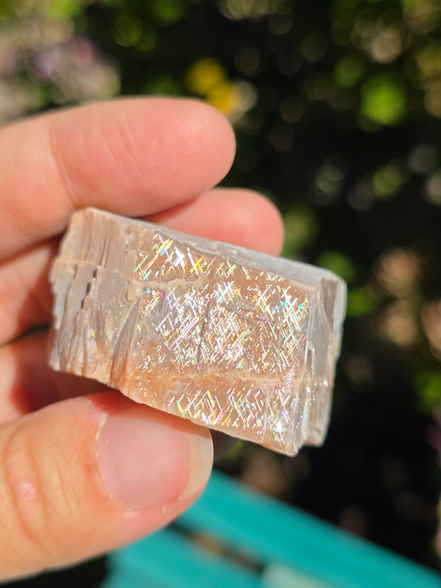 Pierre de soleil Rainbow Lattice n°7