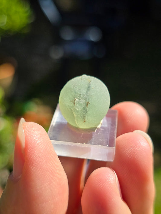 Prehnite botryoïdale du Mali (à choisir)