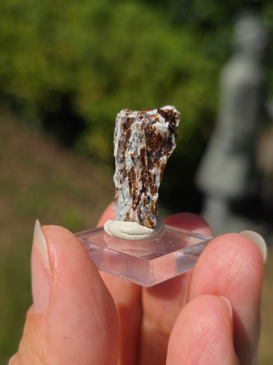 Astrophyllite de Russie n°3