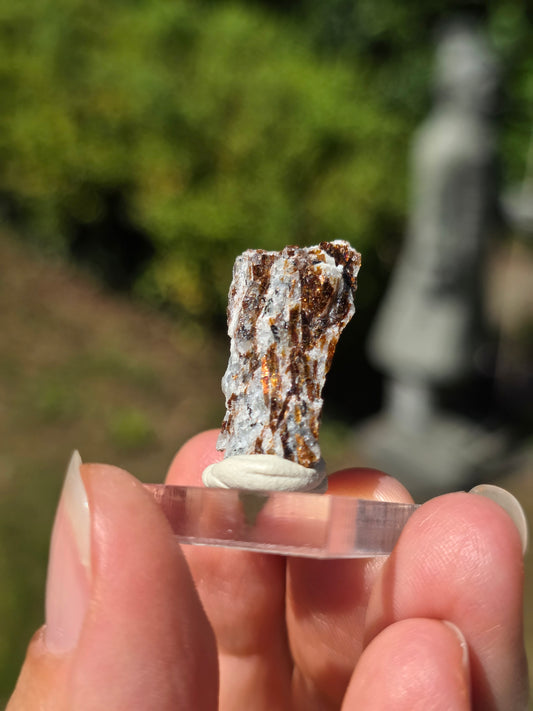 Astrophyllite de Russie n°3