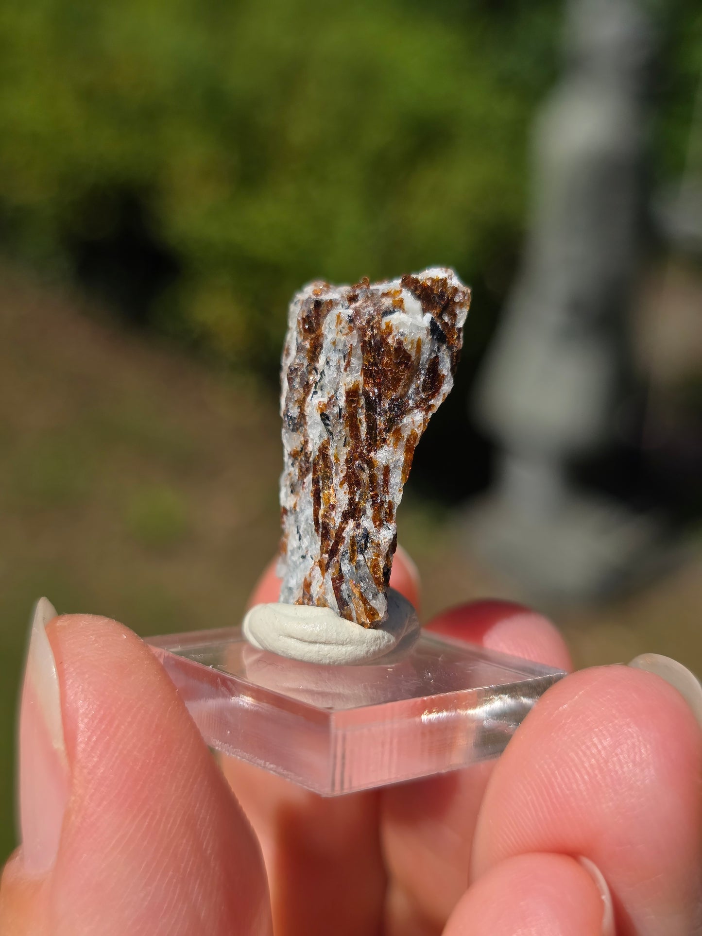 Astrophyllite de Russie n°3