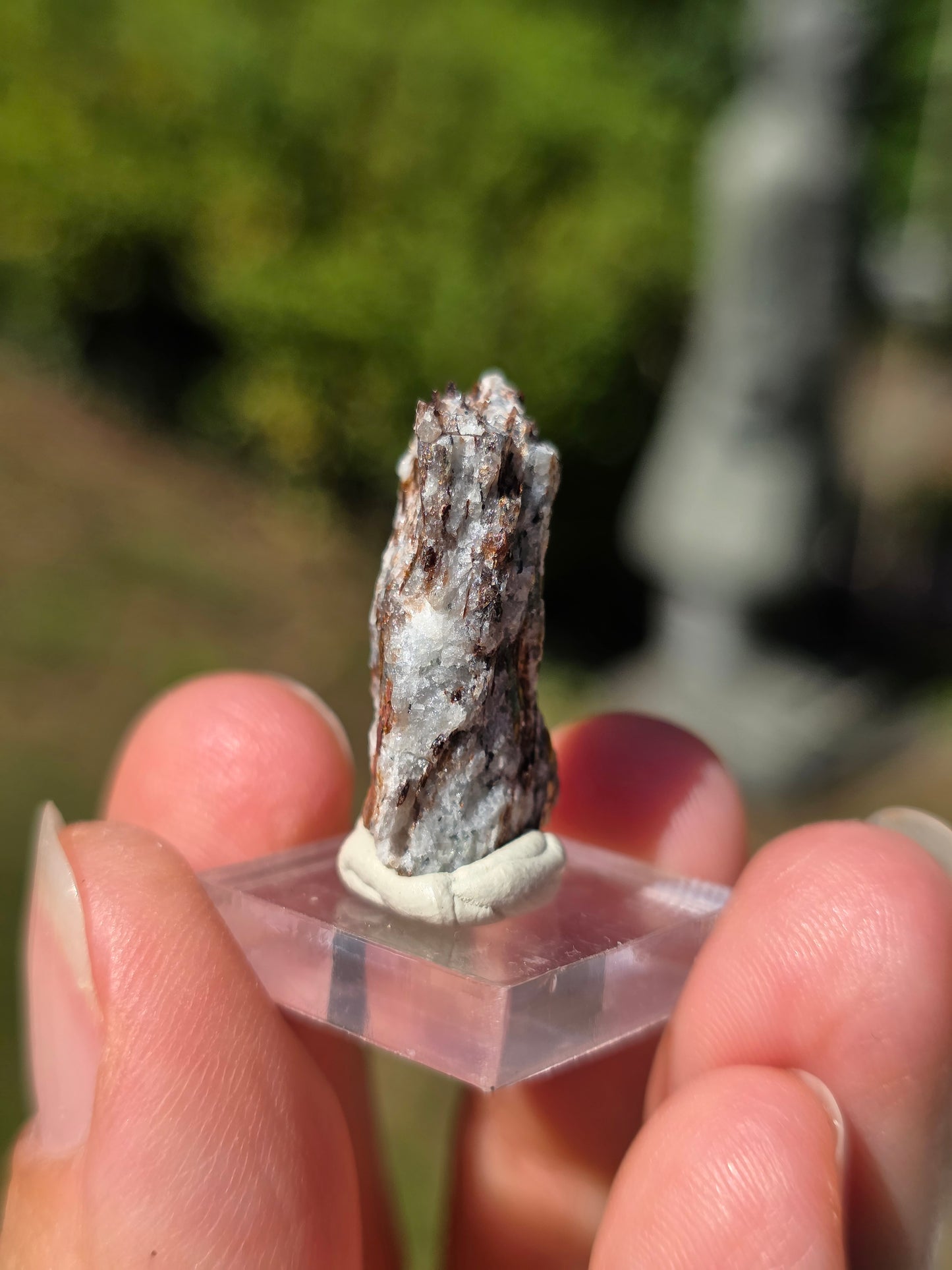 Astrophyllite de Russie n°3