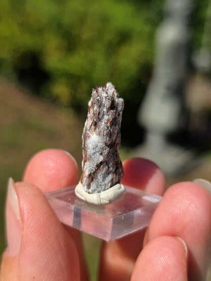 Astrophyllite de Russie n°3