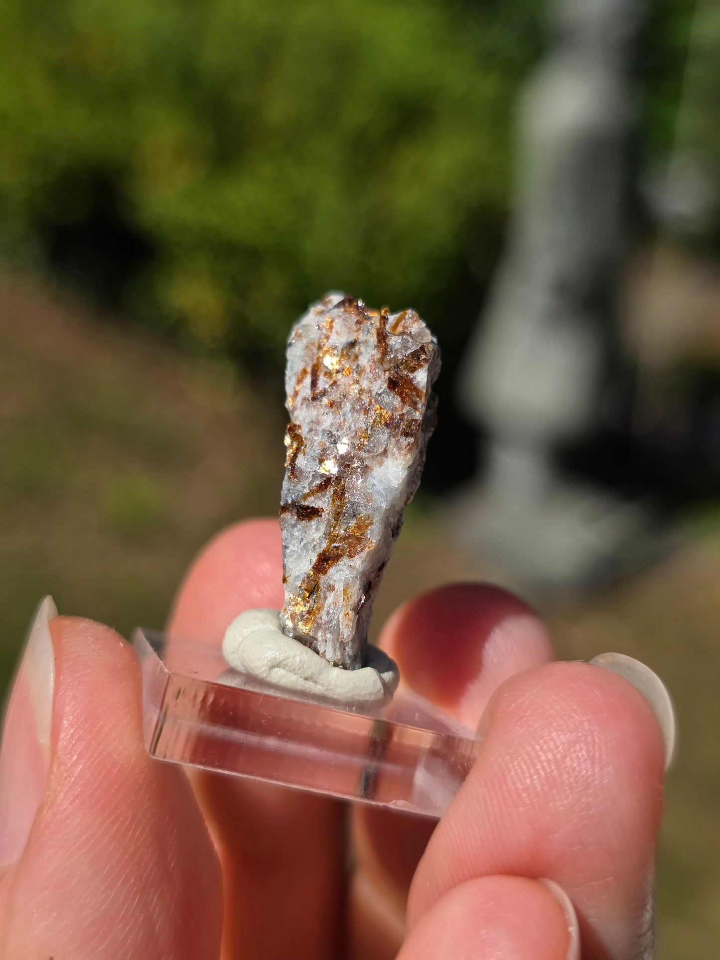 Astrophyllite de Russie n°3