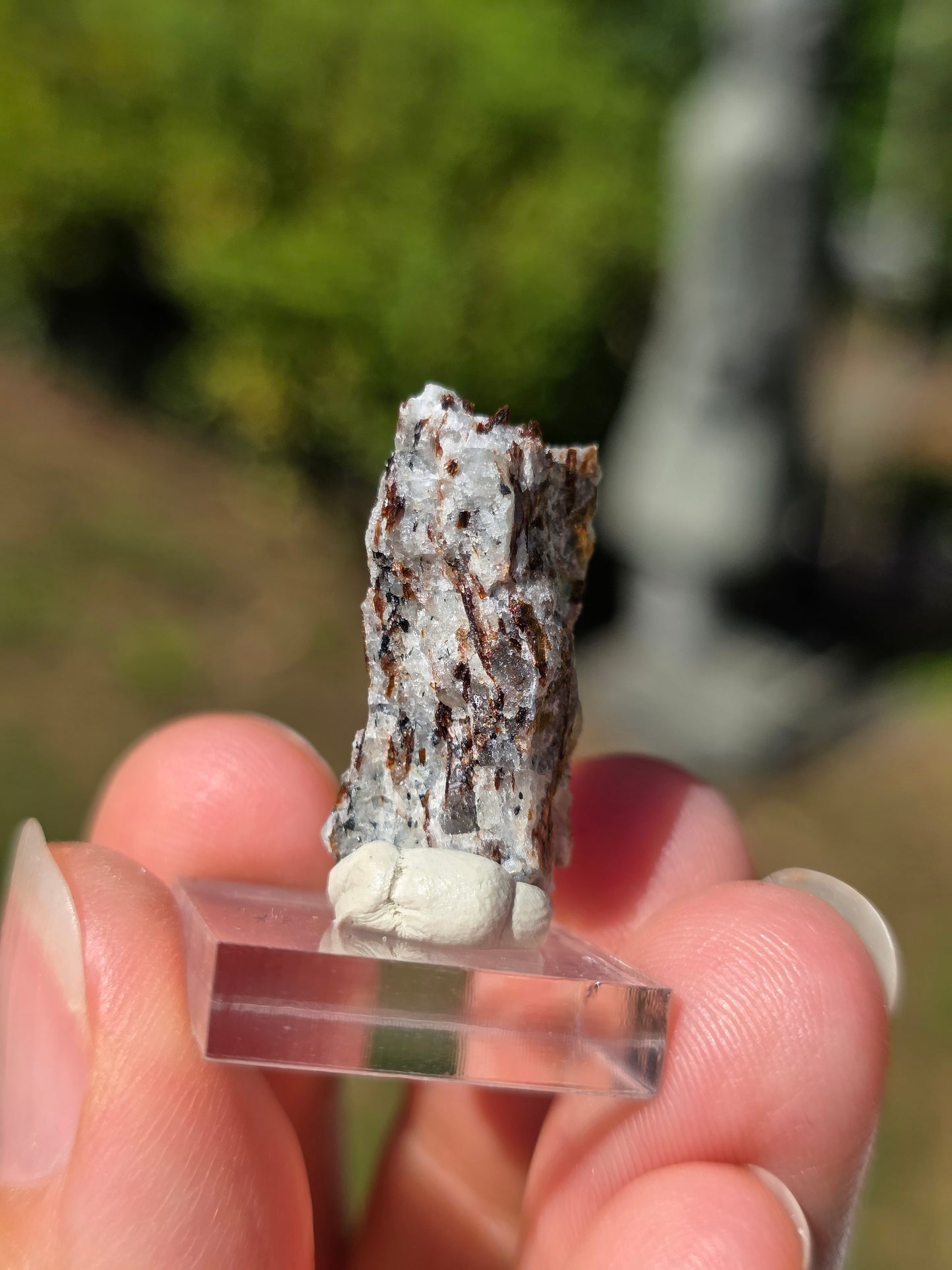 Astrophyllite de Russie n°3