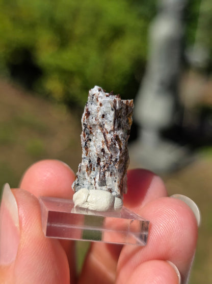 Astrophyllite de Russie n°3