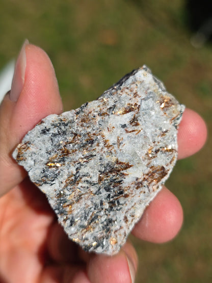 Astrophyllite de Russie n°12