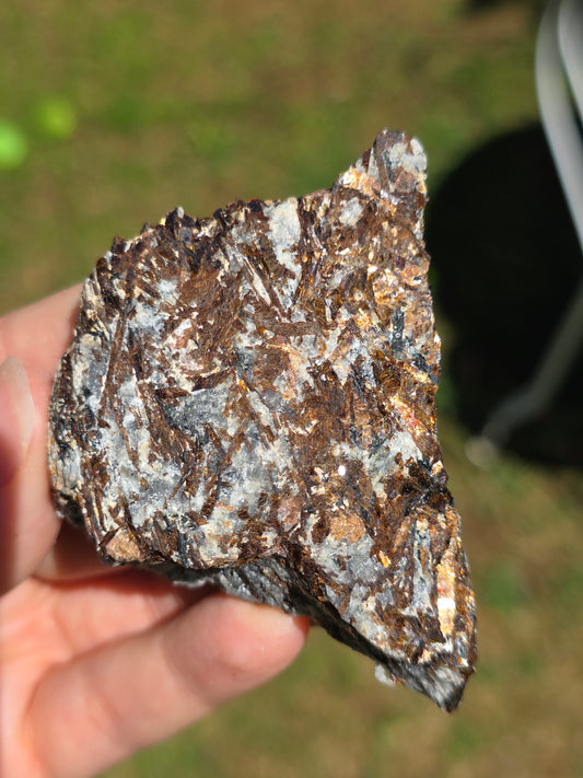 Astrophyllite de Russie n°13