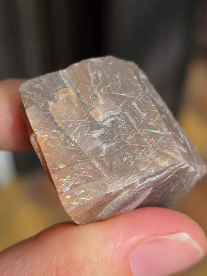 rainbow lattice sunstone, pierre de soleil d'Australie brute