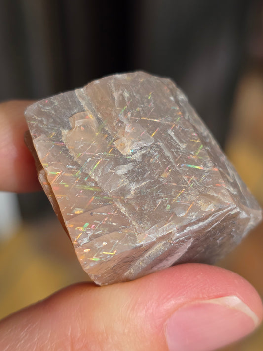 rainbow lattice sunstone, pierre de soleil d'Australie brute