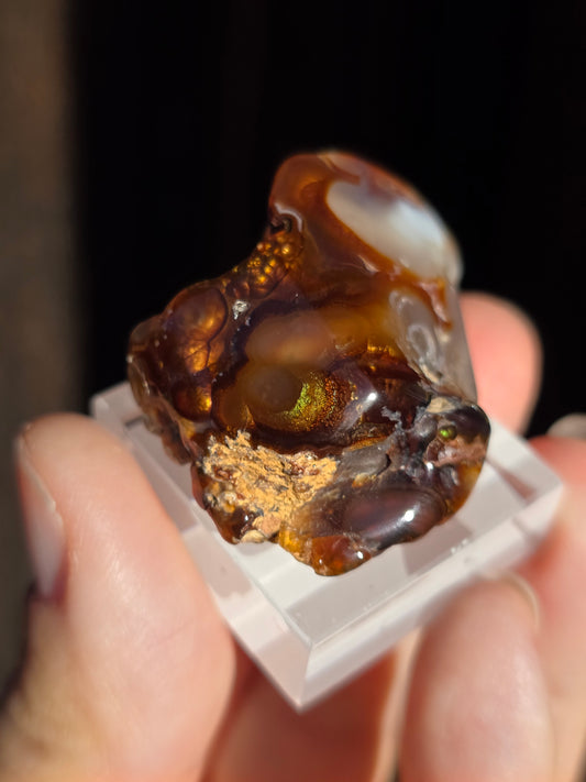 Agate feu du Mexique A1
