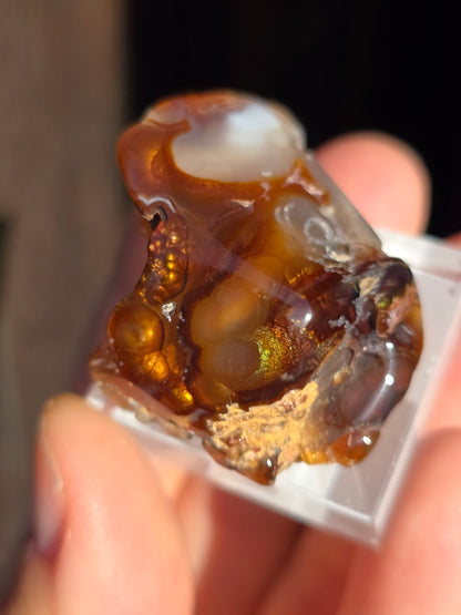 Agate feu du Mexique A1