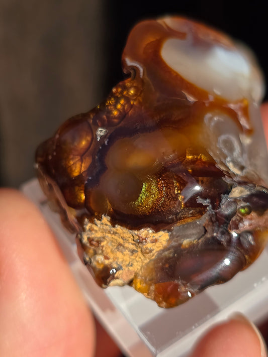 Agate feu du Mexique A1