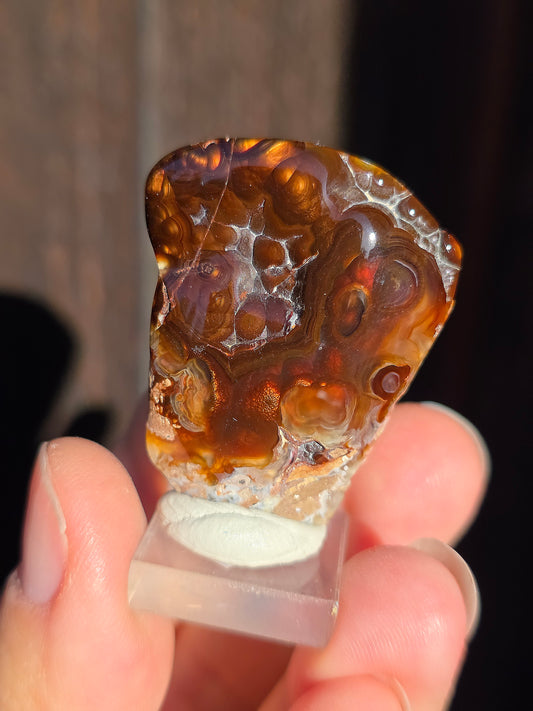 Agate feu du Mexique A2