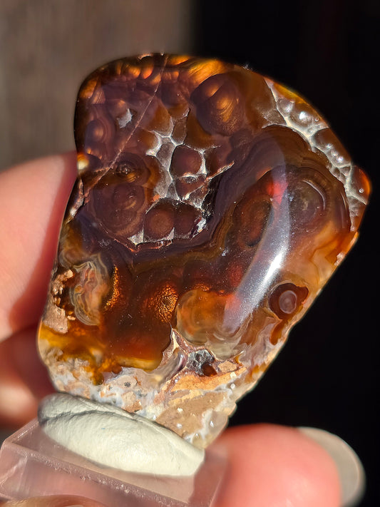 Agate feu du Mexique A2