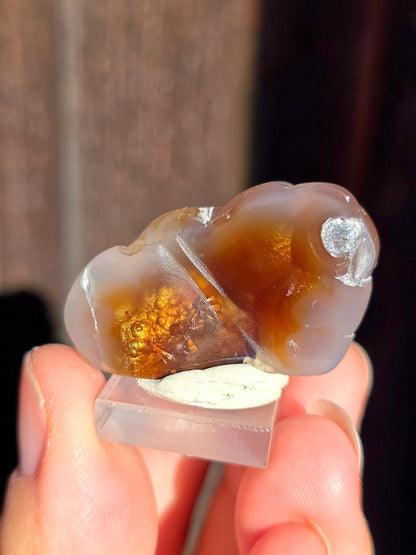 Agate feu du Mexique A3