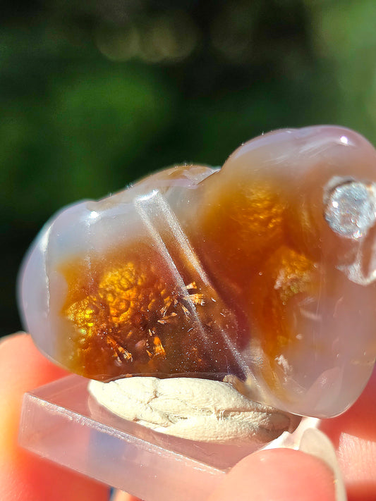 Agate feu du Mexique A3