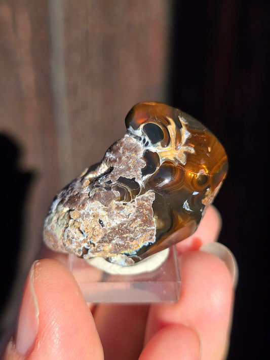 Agate feu du Mexique A4