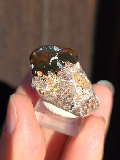 Agate feu du Mexique A4