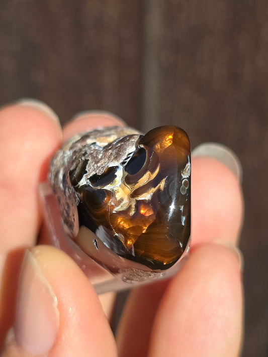Agate feu du Mexique A4