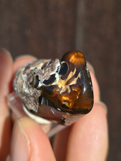 Agate feu du Mexique A4