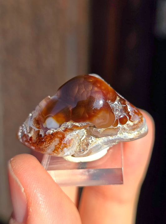 Agate feu du Mexique A7