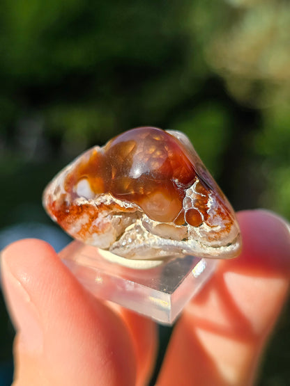Agate feu du Mexique A7