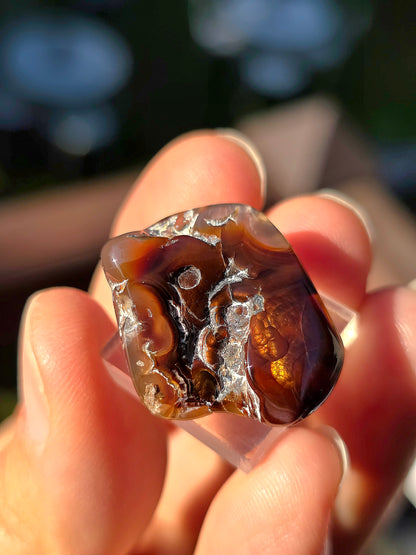 Agate feu du Mexique A8