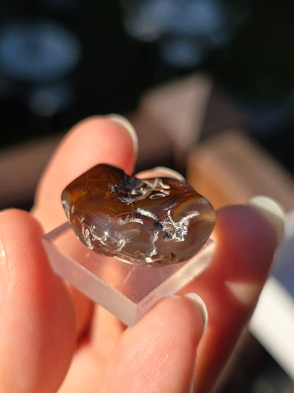 Agate feu du Mexique A8