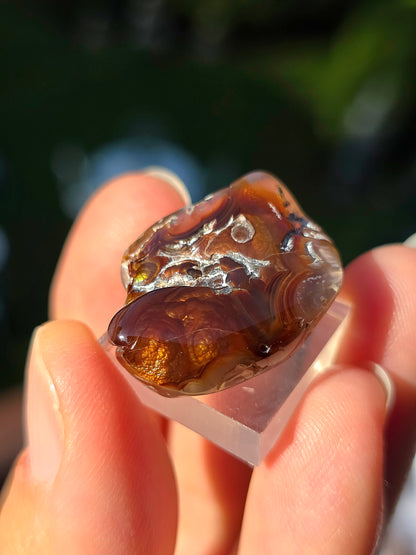 Agate feu du Mexique A8