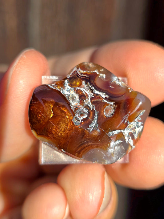 Agate feu du Mexique A8