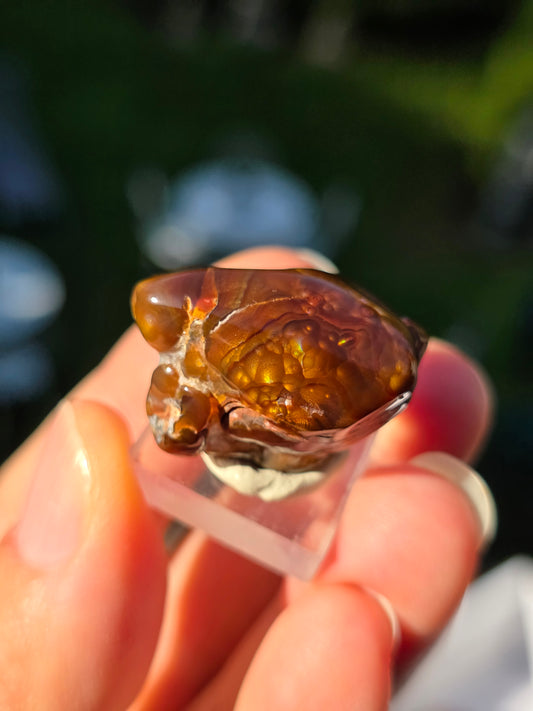 Agate feu du Mexique A9
