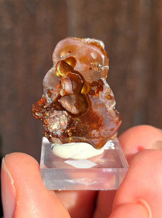 Agate feu du Mexique A11