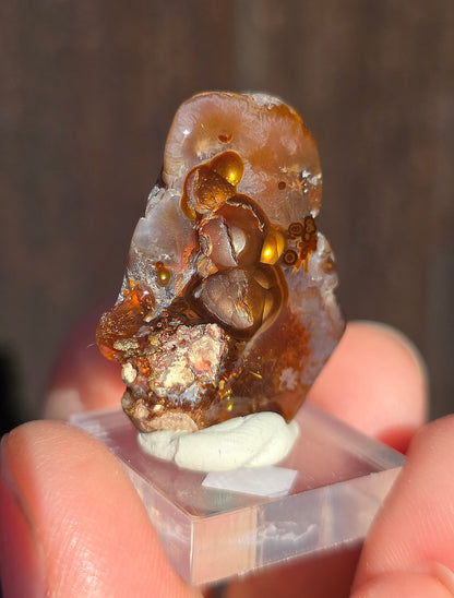 Agate feu du Mexique A11