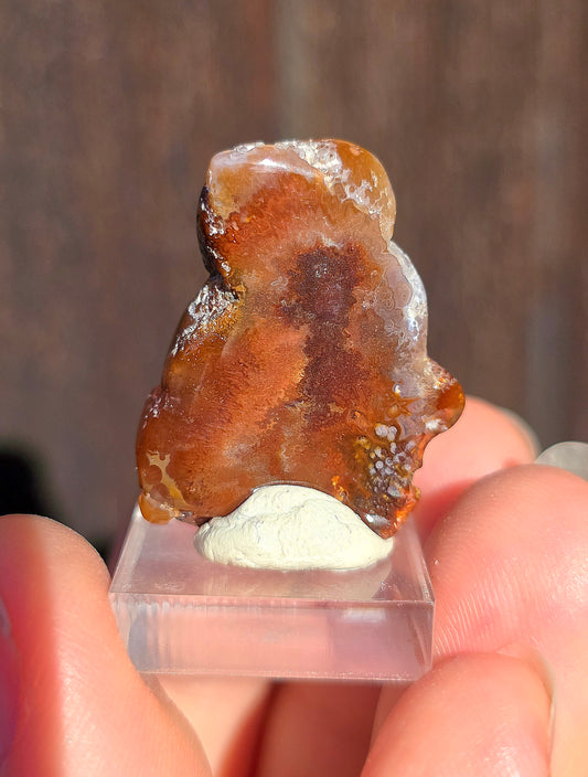 Agate feu du Mexique A11