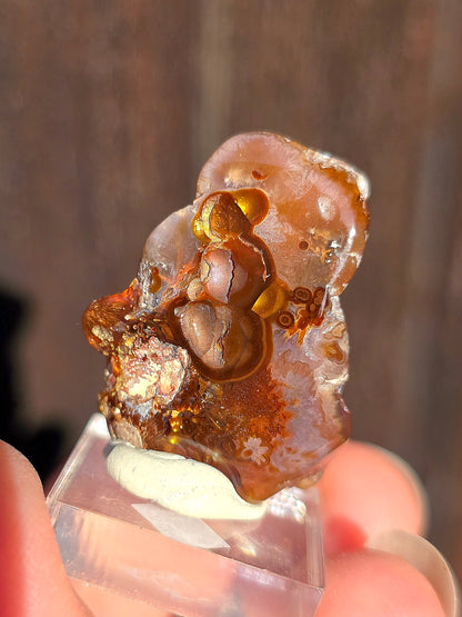 Agate feu du Mexique A11