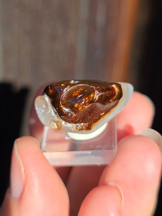 Agate feu du Mexique A12