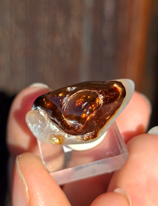 Agate feu du Mexique A12