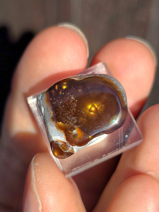 Agate feu du Mexique A14
