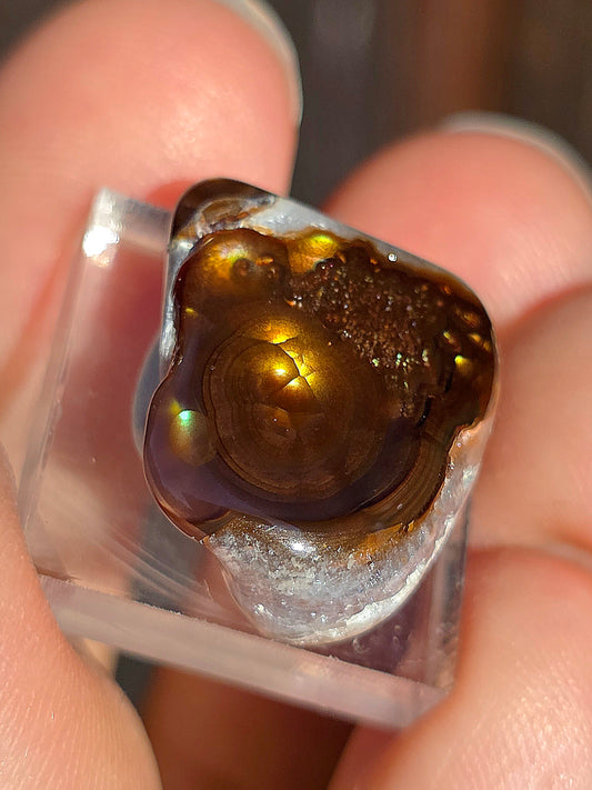 Agate feu du Mexique A14
