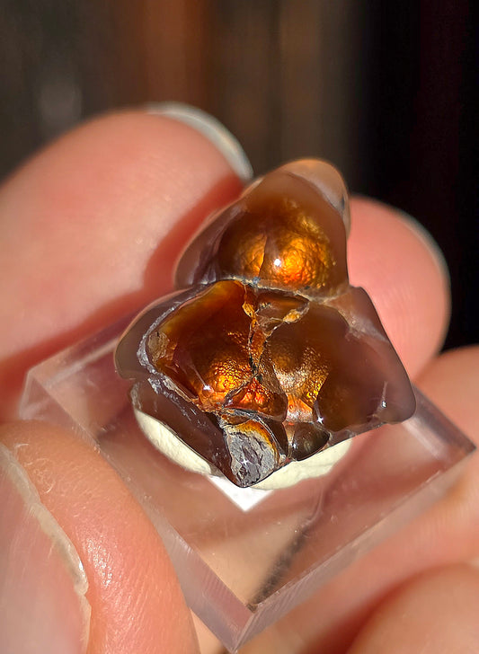 Agate feu du Mexique A15
