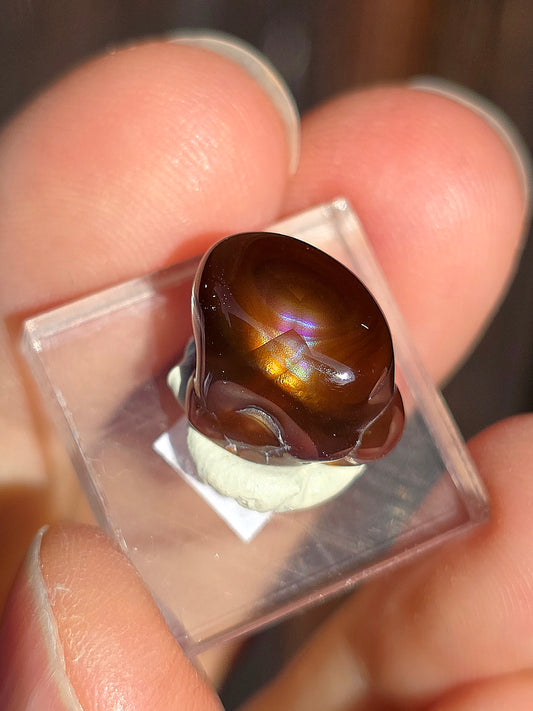 Agate feu du Mexique A18