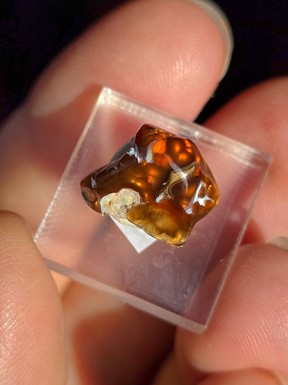 Agate feu du Mexique A21