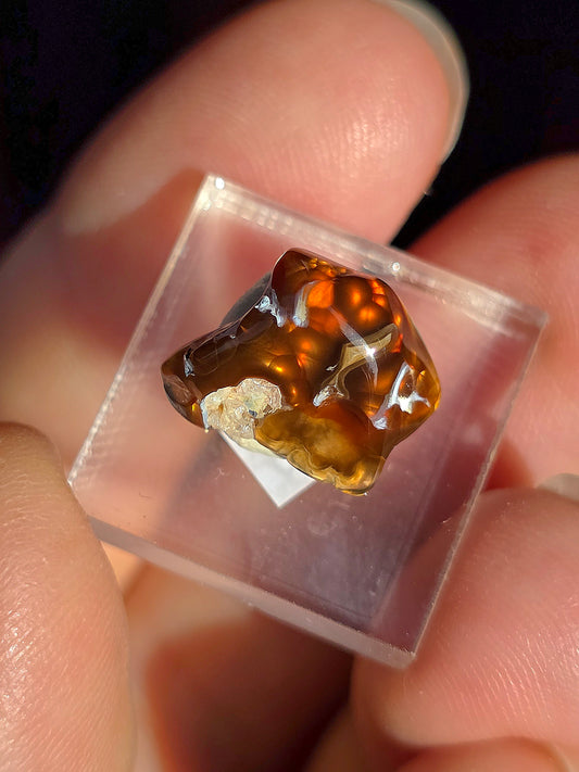 Agate feu du Mexique A21