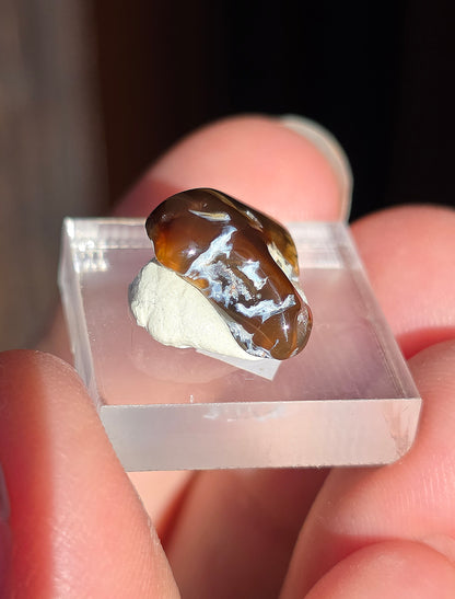 Agate feu du Mexique A21