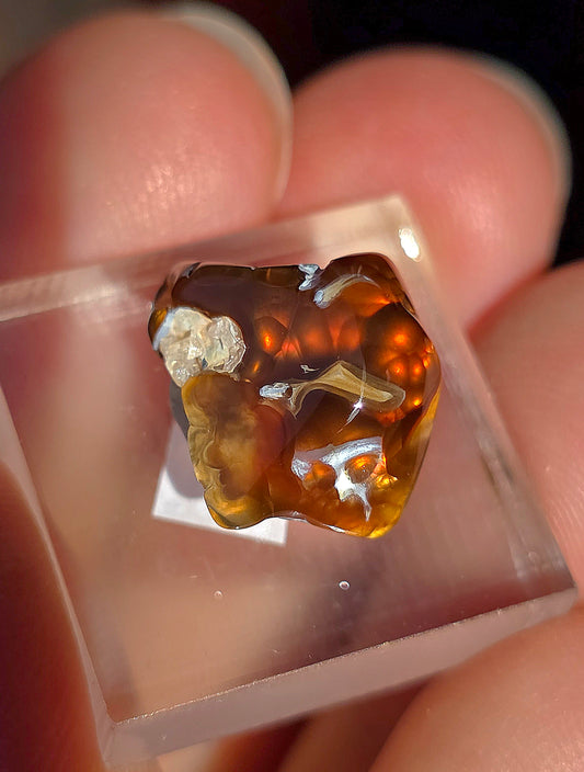 Agate feu du Mexique A21