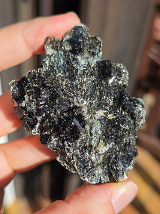 Dravite (Tourmaline brune) du Brésil