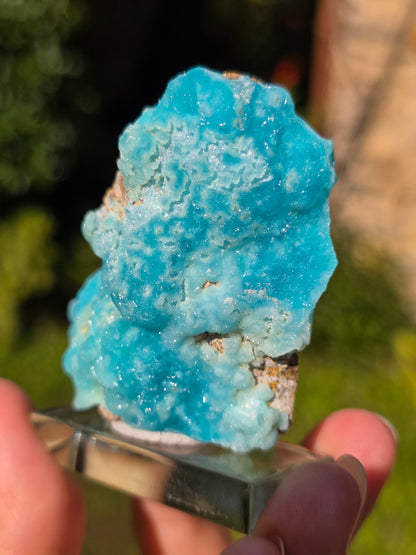 Hémimorphite du Congo n°3
