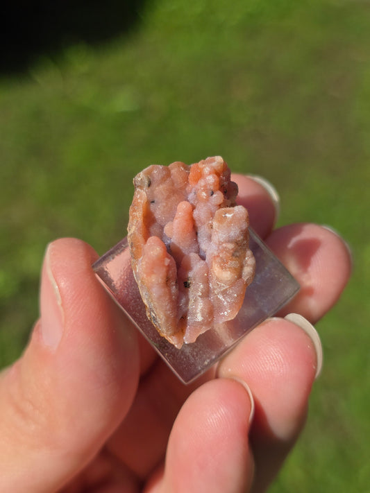 Petite Calcédoine du Maroc